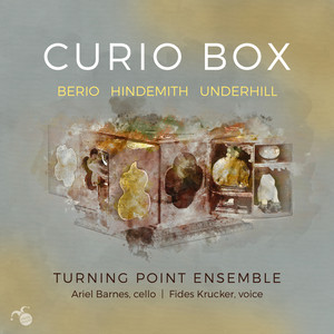 CURIO BOX
