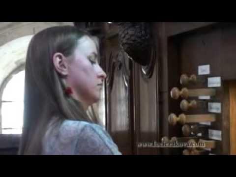 Preview image for the video "Lucie Guerra Žáková: Popular Renaissance Organ Music".