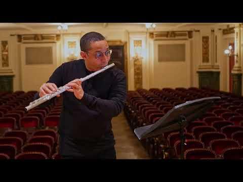 Preview image for the video "AMP Close-Up Concerts #3 Eric Lamb at Ehrbar Saal Vienna".