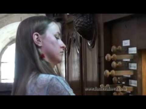 Preview image for the video "Lucie Guerra Žáková: Popular Renaissance Organ Music".